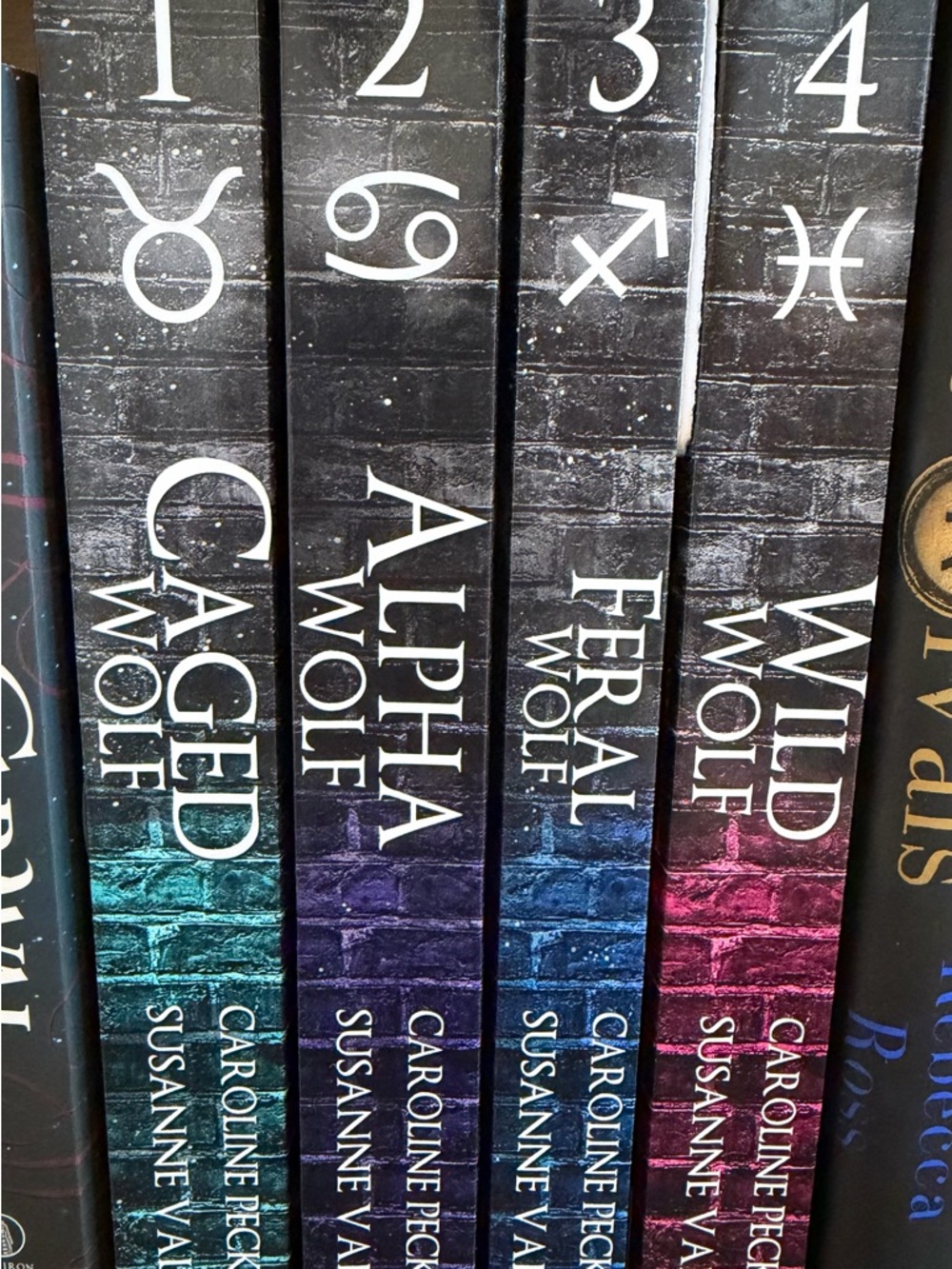 Darkmore Penitentiary series